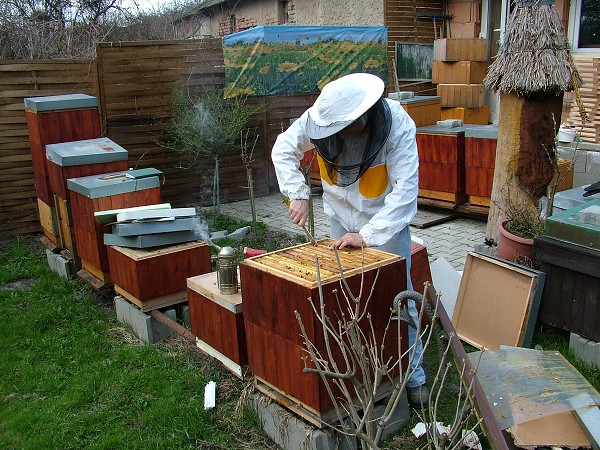 Inspekční prohlídky včelstev 14.4.2013