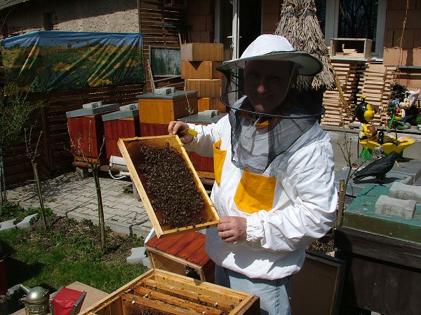 Inspekční prohlídky včelstev 14.4.2013