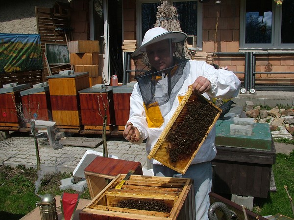 Inspekční prohlídky včelstev 14.4.2013