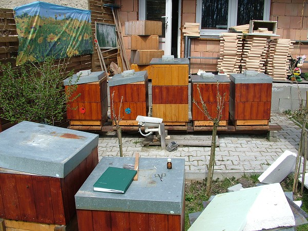 Inspekční prohlídky včelstev 14.4.2013