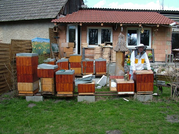 Inspekční prohlídky včelstev 14.4.2013