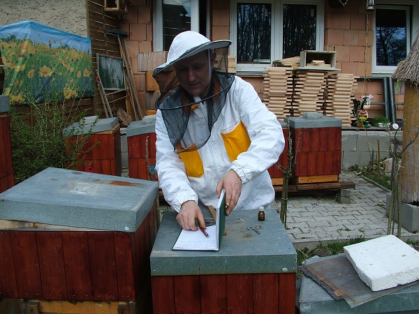 Inspekční prohlídky včelstev 14.4.2013