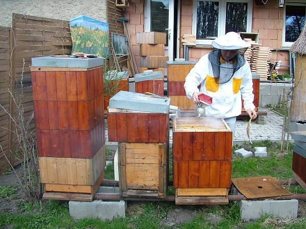 Inspekční prohlídky včelstev 14.4.2013