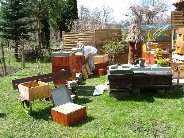 Inspekční prohlídky včelstev 14.4.2013