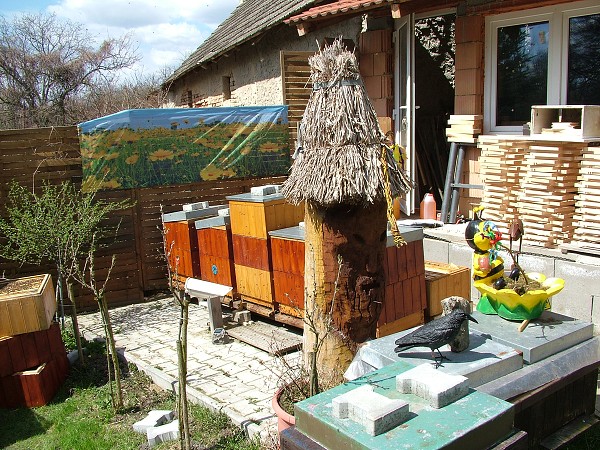 Inspekční prohlídky včelstev 14.4.2013