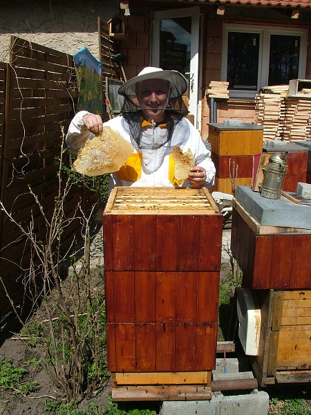 Inspekční prohlídky včelstev 14.4.2013